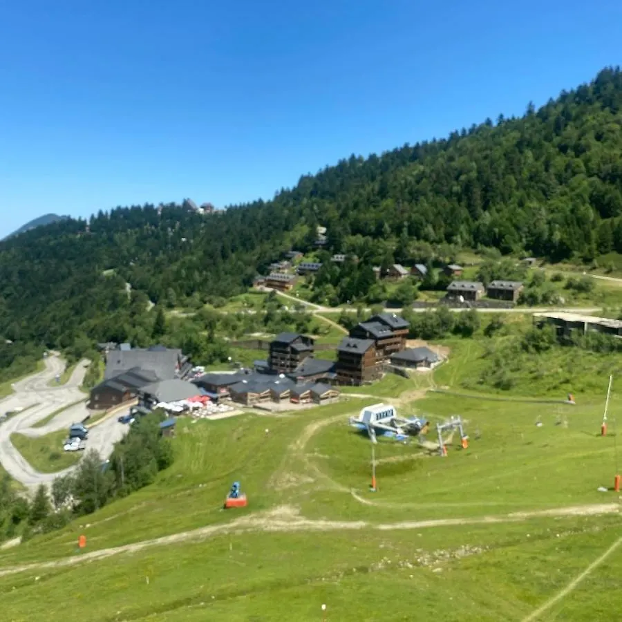 Appartement Le Fleuri Ensoleille De Guzet à Ustou 0*,  France